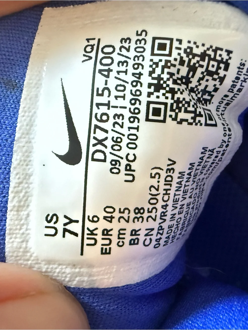 Nike Kids Royal Blue and White Running Sneakers